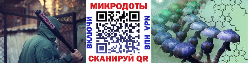 MEGA как войти  Серафимович  Галлюциногенные грибы мицелий 